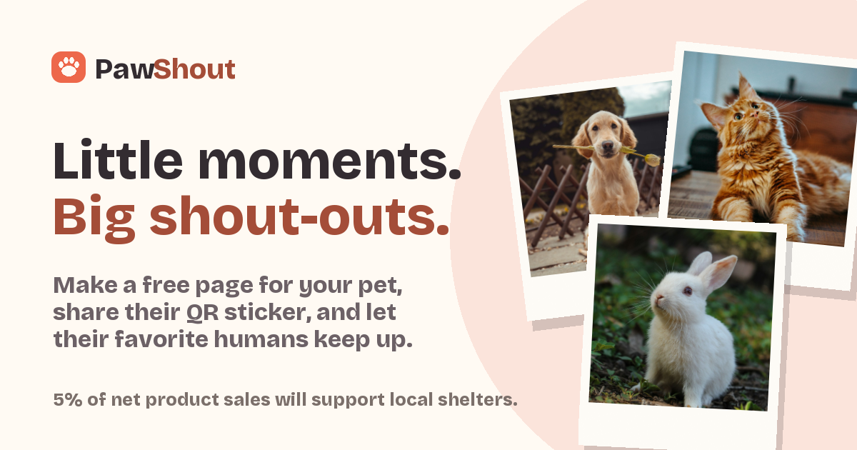 PawShout - Free pet pages inspired by two dogs and our coffee runs